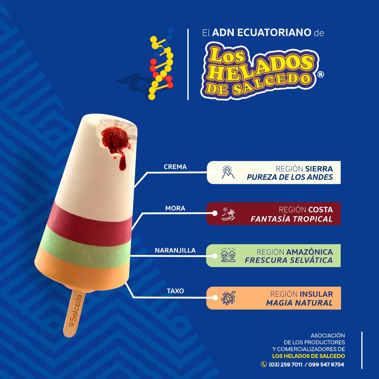 LOS HELADOS DE SALCEDOS
