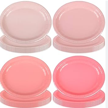 PAPER PLATE COLOR (PACKAGE#24)