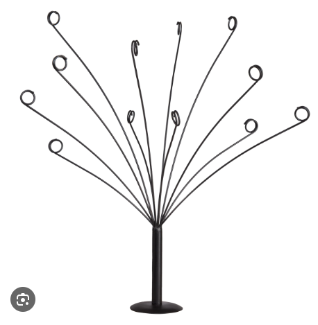 MONEY TREE ( ARBOL DEL DINERO )