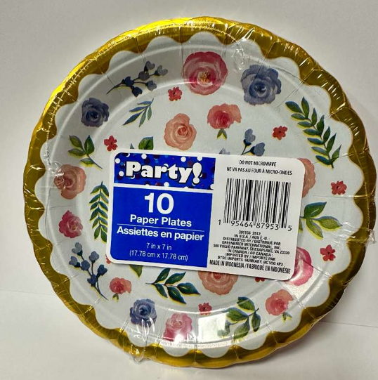 PAPER PLATES (10)