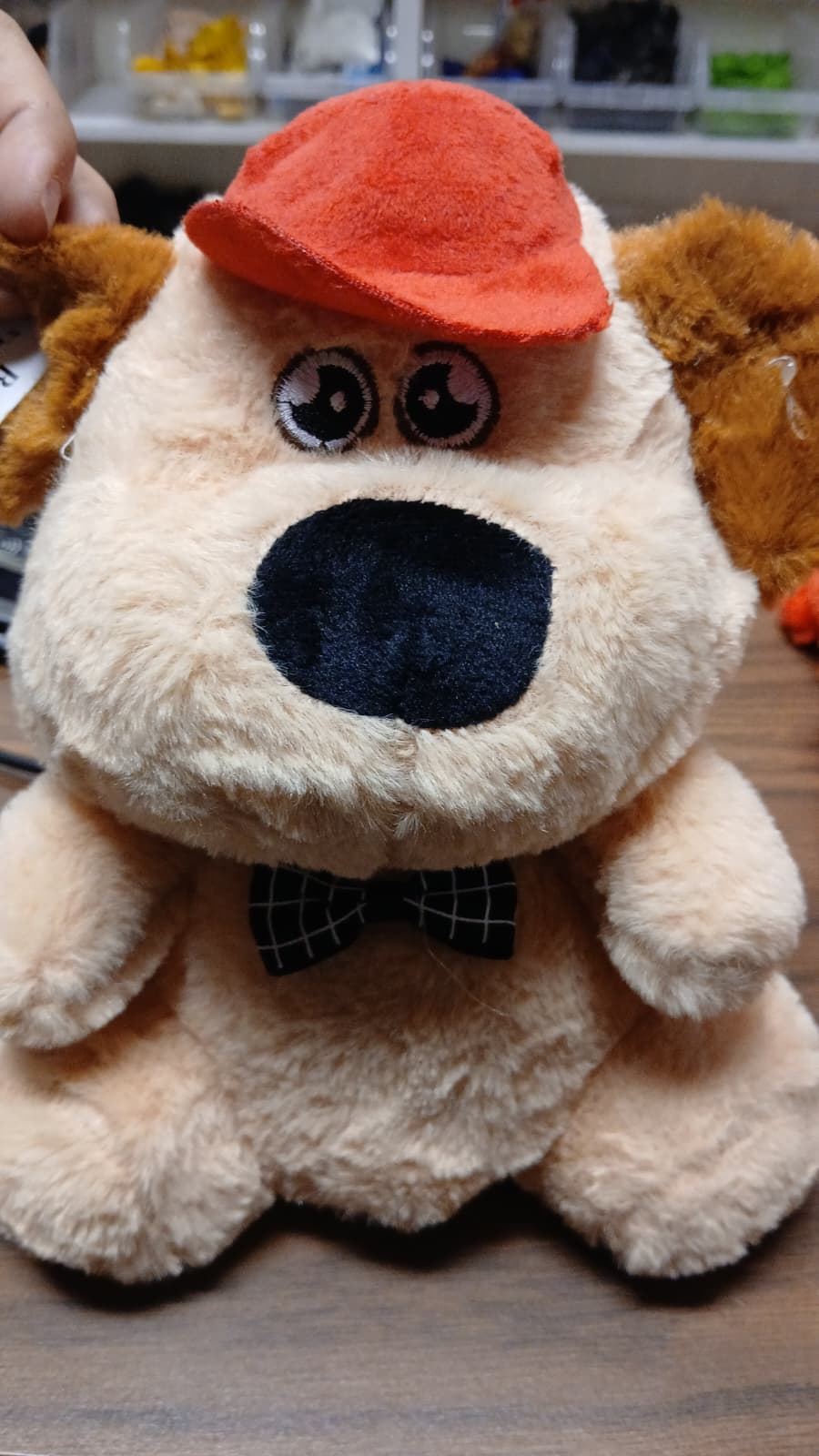 PERRO CON GORRA ROJA